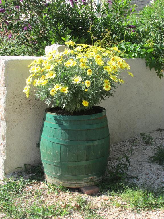 Apartmani I Sobe Grga Starigrad Exterior photo